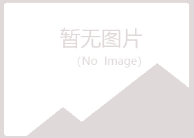 马山县又菱造纸有限公司